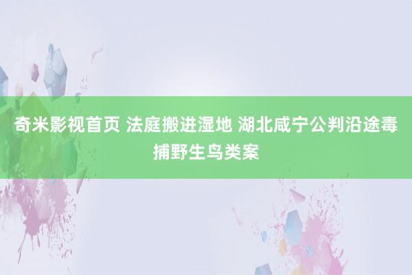 奇米影视首页 法庭搬进湿地 湖北咸宁公判沿途毒捕野生鸟类案