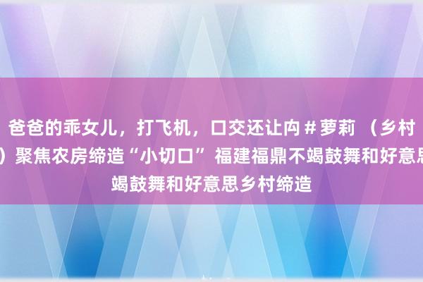 爸爸的乖女儿，打飞机，口交还让禸＃萝莉 （乡村行·看振兴）聚焦农房缔造“小切口” 福建福鼎不竭鼓舞和好意思乡村缔造